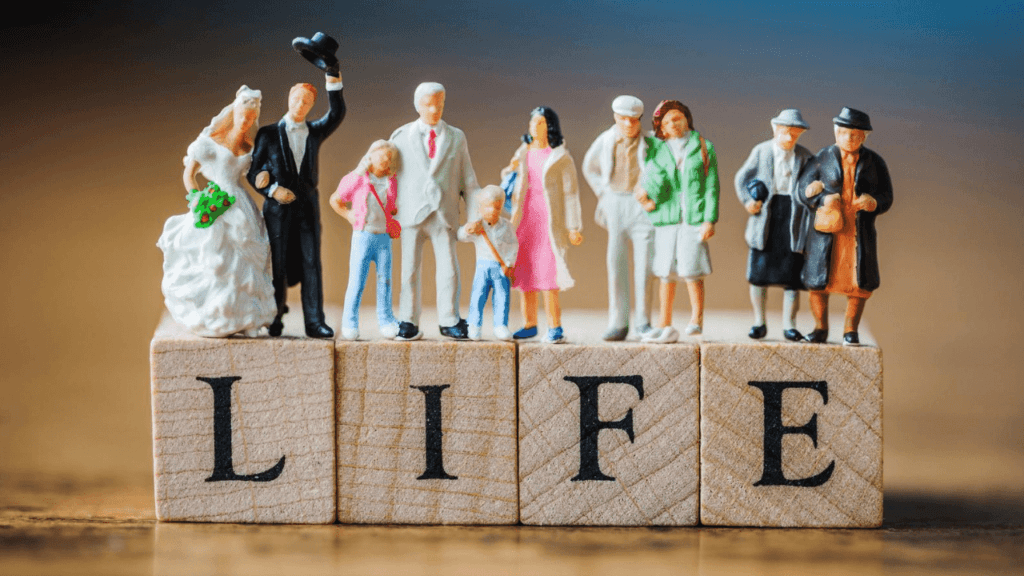 ライフステージを表した模型